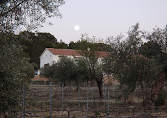 Bodegas Lazo