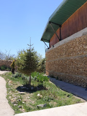 Camping El Llosar
