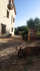 Casa Pili