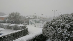 Club De Tenis
