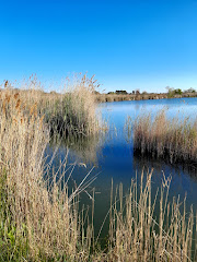 Espacio Natural Els Estanys de Almenara