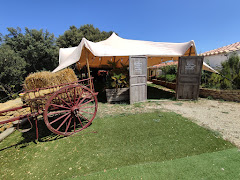 La carrasca de Macu