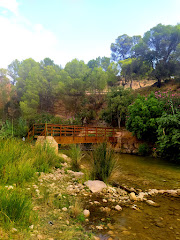 Paraje Natural El Gallego