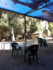 Restaurante La Barraca