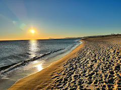 Tavernes Playa