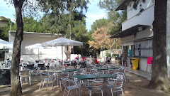 Terraza Bar Maldonado