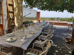 Terraza la parra