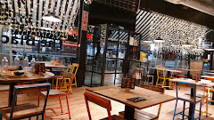The Black Turtle - Xativa