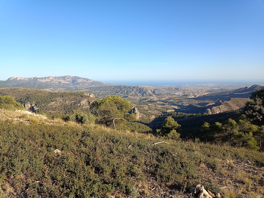 Alto de Martina