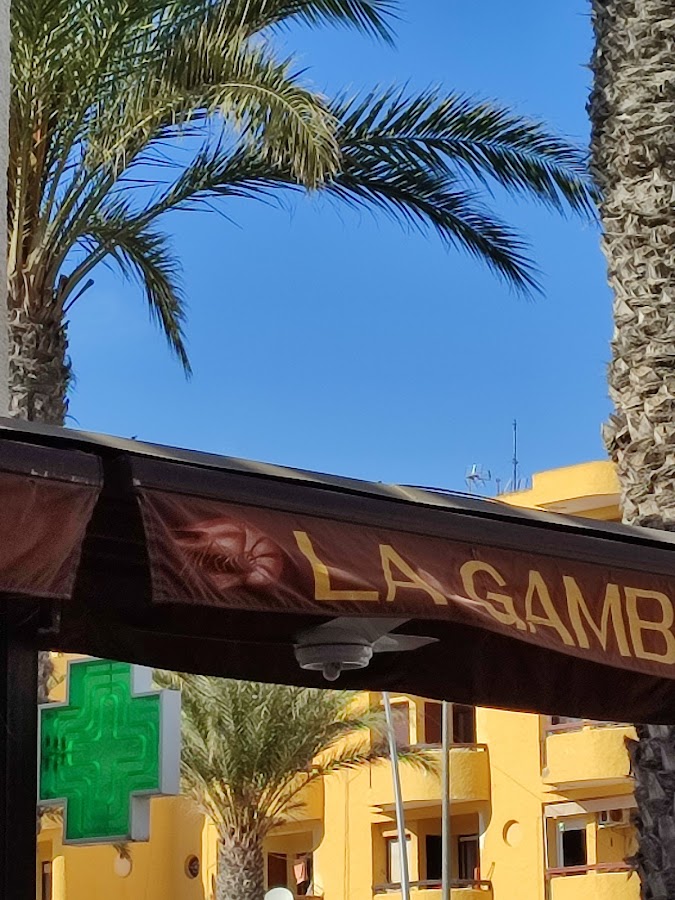 La Gamba de Oro